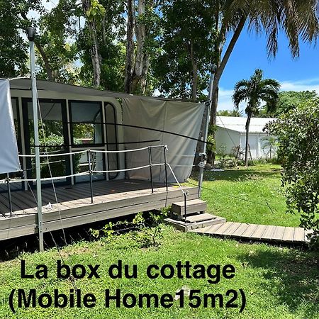 Le Cottage De Castaing Sur Plage Privee 상트 안느 외부 사진