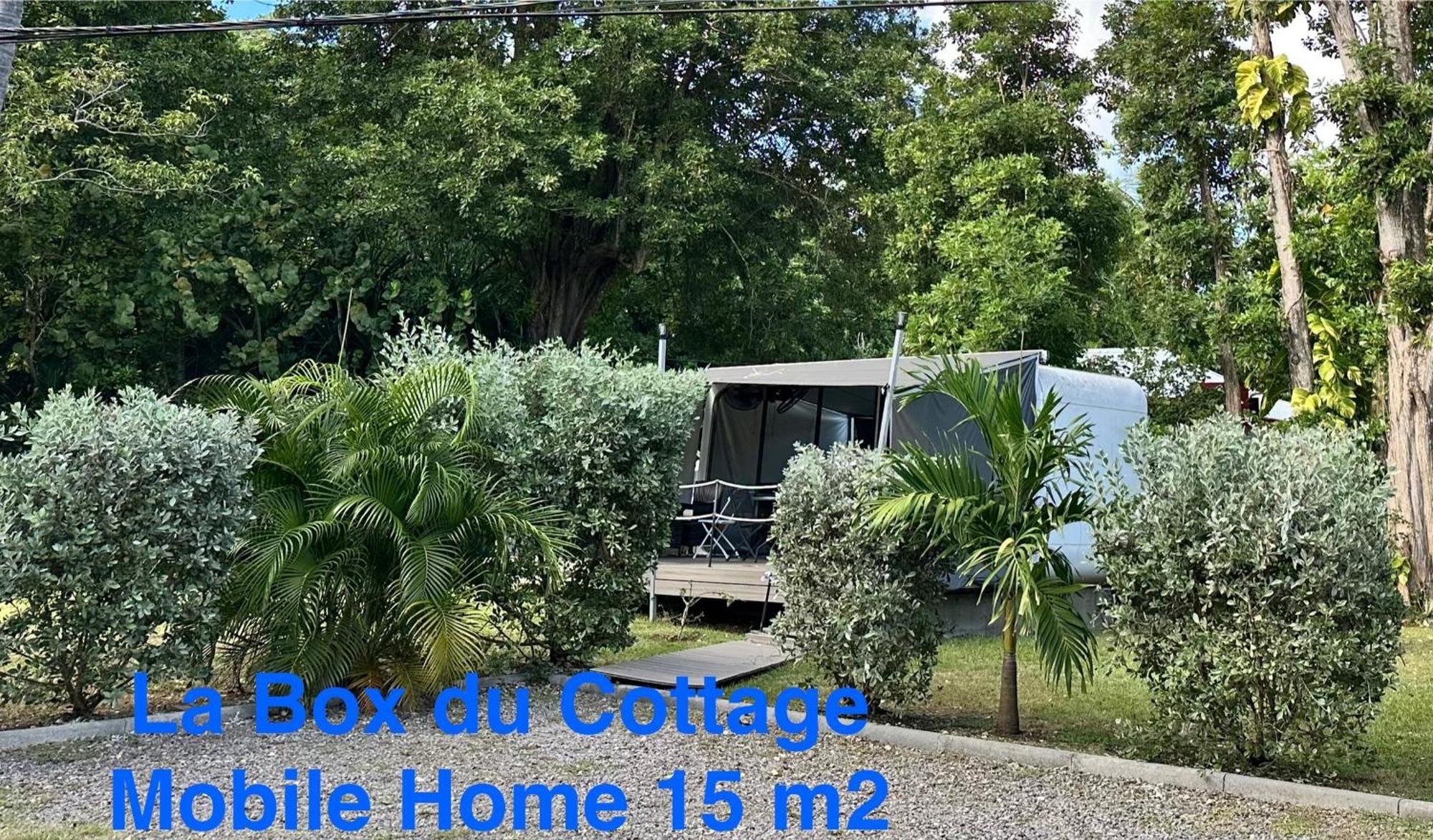 Le Cottage De Castaing Sur Plage Privee 상트 안느 외부 사진